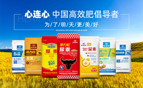 心连心化肥