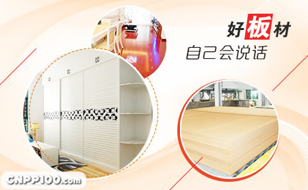 永林蓝豹YONGAN