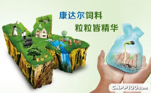 康达尔kondarl