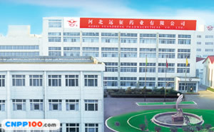 远征
