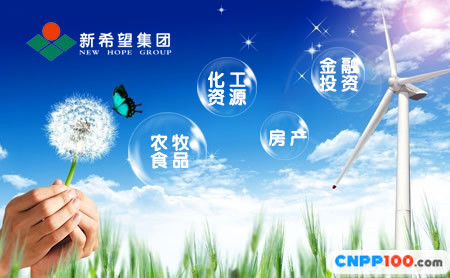 新希望