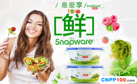 Snapware康宁扣