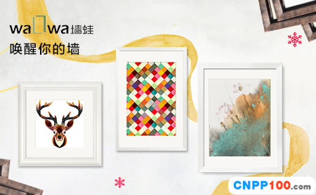 墙蛙waLLwa